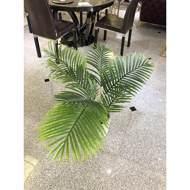 観葉植物｜アレカヤシ｜IB Selection｜OBJ0178IB