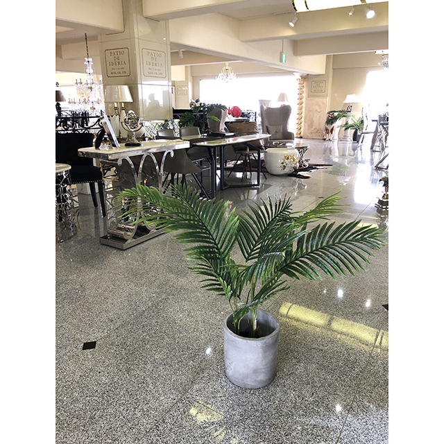 観葉植物｜アレカヤシ｜IB Selection｜OBJ0178IB